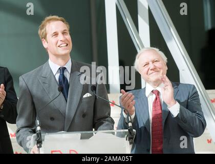 HRH Prince William eröffnet 2009 offiziell das 78 Millionen Pfund schwere Darwin Center im Natural History Museum, London. Stockfoto