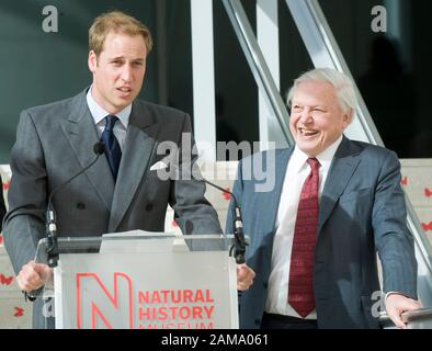 HRH Prince William eröffnet 2009 offiziell das 78 Millionen Pfund schwere Darwin Center im Natural History Museum, London. Stockfoto