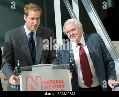 HRH Prince William eröffnet 2009 offiziell das 78 Millionen Pfund schwere Darwin Center im Natural History Museum, London. Stockfoto