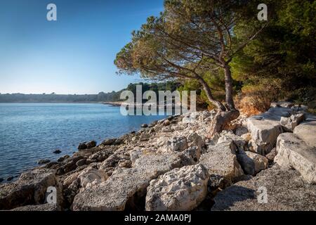 Naturpark kamenjak bei premantura in istrien, kroatien Stockfoto