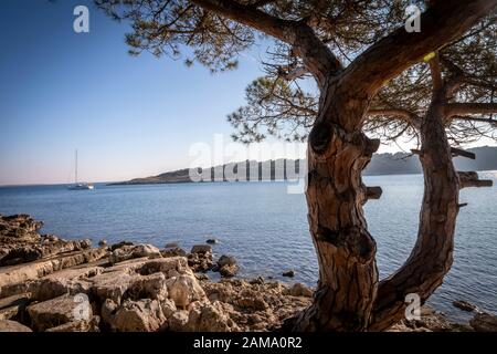 Naturpark kamenjak bei premantura in istrien, kroatien Stockfoto