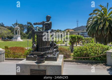 California Academy of Sciences, Golden Gate Park, San Francisco, Kalifornien, USA, Nordamerika Stockfoto