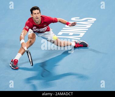 Sydney, Australien. Januar 2020. Novak Djokovic aus Serbien tritt beim ATP-Cup-Finale zwischen Spanien und Serbien in Sydney, Australien, am 12. Januar 2020 gegen Rafael Nadal aus Spanien an. Credit: Zhu Hongye/Xinhua/Alamy Live News Stockfoto