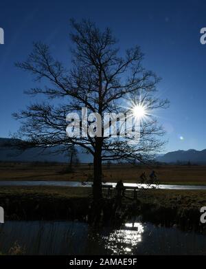 Murnau, Deutschland. Januar 2020. Radfahrer genießen die Sonne im Murnauer Moos. Credit: Angelika Warmuth / dpa / Alamy Live News Stockfoto