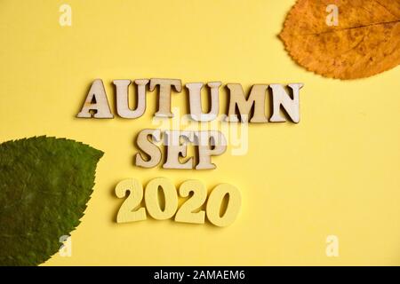 Das Konzept des Herbstes - September im neuen Jahr. Holznummern 2020 mit Buchstaben, Blätter auf gelbem Hintergrund. Draufsicht. Nahaufnahme. Stockfoto
