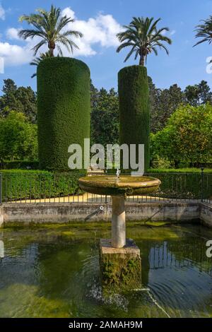 Palast und Gärten von Royal Alcazar, Sevilla, Andalusien, Spanien, Europa Stockfoto