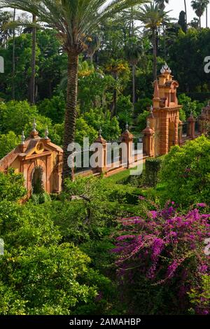 Palast und Gärten von Royal Alcazar, Sevilla, Andalusien, Spanien, Europa Stockfoto