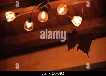 Dekoratives Blatt, das an der Decke neben der Lichtbefestigung hängt. Konzept: Inneneinrichtung. Stockfoto