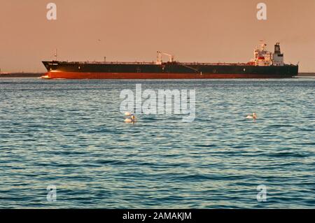 Öltanker M/S Genmar Agamemnon, Liberia-Flagge, verlässt Galveston Bay auf ihrem Weg von Port of Houston in den Golf von Mexiko, Texas, USA Stockfoto