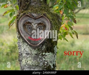 Sorry Karte, um zu sagen, dass es geliebten Menschen und Freunden leid tut. Wunderschönes, natürliches, herzförmiges Gesicht in einem Baumstamm, Grün im Hintergrund. Stockfoto