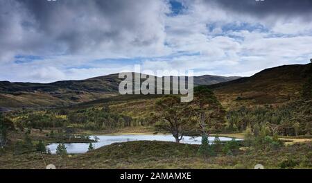 Eine Septemberansicht von Loch Salach a Ghiubhais in Glen Affric, kurz bevor die Farben der Natur zu zeigen beginnen und die Winterruhe beginnt. 27/09/19 Stockfoto