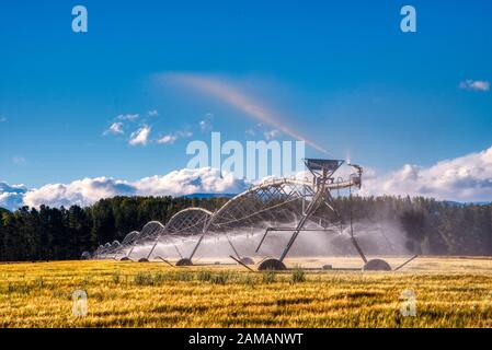 Riesige Bewässerungswassersprinkler auf Weideland in der Nähe von Ashburton, Neuseeland Stockfoto