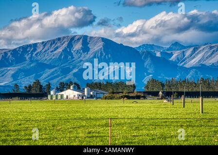 Gehöft, Canterbury Plains, Ashburton, Neuseeland Stockfoto