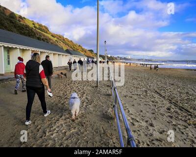 Bournemouth, Großbritannien. Januar 2020. Die Menschen genießen die Wintersonne bei einem Spaziergang am Strand in Bournemouth, Dorset. Unüblich warmes Wetter in Großbritannien. Kredit: Thomas Faull/Alamy Live News Stockfoto