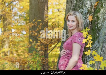 Porträt der jungen schwangeren Frau, die von der Seite posiert, die ihren Bauch hält und die Kamera betrachtet. Stockfoto