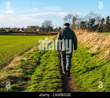 Winton Estate, Pencaitland, East Lothian, Schottland, Großbritannien. Januar 2019. Großbritannien Wetter: Ein Winterspaziergang bei Sonnenschein als ein älterer Mann mit einer flachen Kappe geht auf einem Landweg am Rande eines Feldes Stockfoto