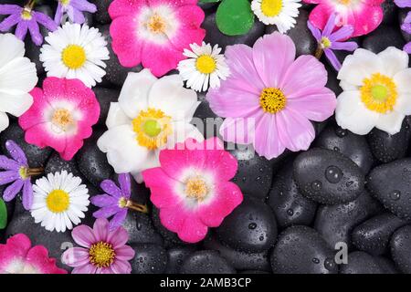 Hintergrund mit Steinen und Blumen Stockfoto