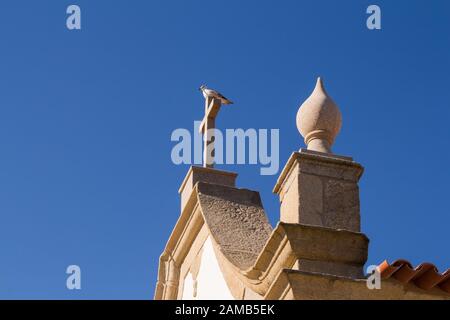 Kleine weiße Kapelle im traditionellen portugiesischen Stil an der Küste des Atlantiks, Kreuz auf dem Dach mit einer Möwe darauf. Leuchtend blau s Stockfoto