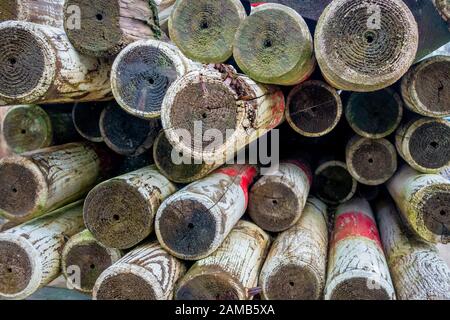 Ein Stapel von Holzpfählen, die zur Sicherheit in Industriegebieten weiß und rot lackiert sind Stockfoto