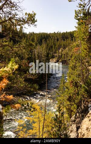 Geysire im Yellowstone Nationalpark Stockfoto