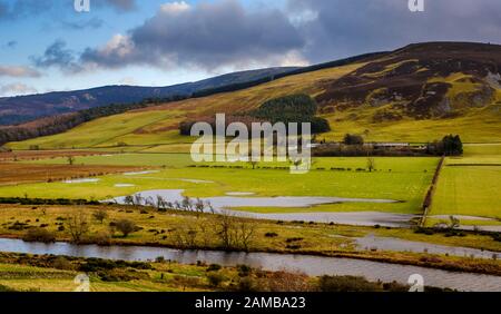 Der River Tweed überschwemmt Felder nach starkem Regen in der Nähe von Broughton in den schottischen Grenzen Stockfoto