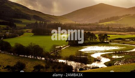 Der River Tweed überschwemmt Felder nach starkem Regen in der Nähe von Broughton in den schottischen Grenzen Stockfoto