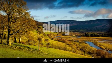 Der River Tweed überschwemmt Felder nach starkem Regen in der Nähe von Broughton in den schottischen Grenzen Stockfoto