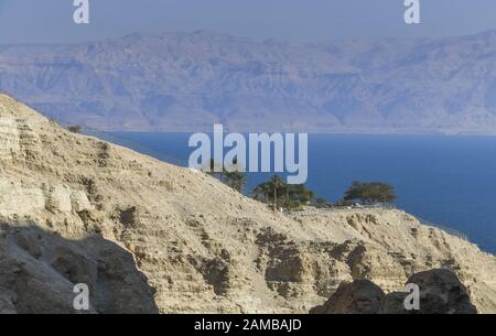 Außendienst nahe der ein Gedi Field School, Totes Meer, Israel Stockfoto