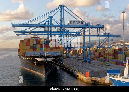 Das MSC Michaela Containerschiff, das im Morgengrauen im Hafen von Las Palmas auf Gran Canaria verladen wurde, ist bereit für die nächste Reise. Stockfoto