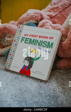 Kleines Kind liest 'Mein Erstes Buch des Feminismus (für Jungen) von Julie Merberg Stockfoto