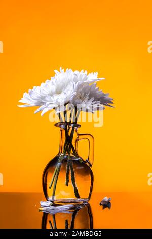 Weiße Blumen minimaler Blumenstrauß in Glasvase auf goldgelbem Hintergrund - vertikaler Fruchtart Stockfoto