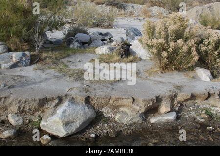 Dieser seltene Bach durchschneidet den Zusammenfluss der Wüsten Mojave und Colorado auf dem Mission Creek Preserve und bietet ein ökologisches Schutzgebiet. Stockfoto