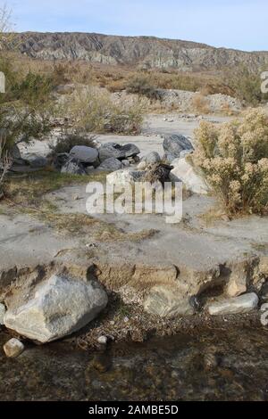 Dieser seltene Bach durchschneidet den Zusammenfluss der Wüsten Mojave und Colorado auf dem Mission Creek Preserve und bietet ein ökologisches Schutzgebiet. Stockfoto