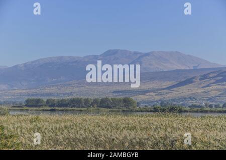 Sümpfe, Naturschutzgebiet Hula, Israel Stockfoto