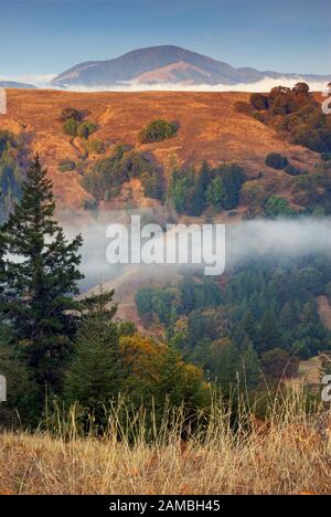 Morgennebel herüber vom Ozean im Hills beginnt River in der Nähe von Honigtau an Lost Coast, Kalifornien, USA Stockfoto