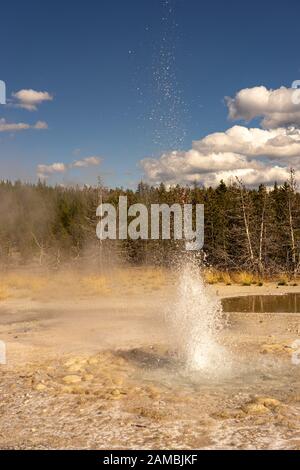 Geysier im Yellowstone Nationalpark Stockfoto