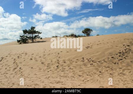 Dune am Yyteri Strand in Pori, Finnland Stockfoto