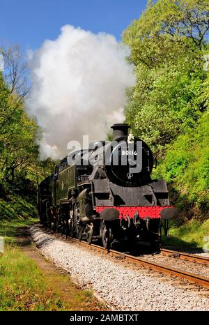 Doppelköpfiger Dampfzug vorbei Beck Bohrung auf der North Yorkshire Moors Railway, (aus einer sicheren Position fotografiert). Stockfoto