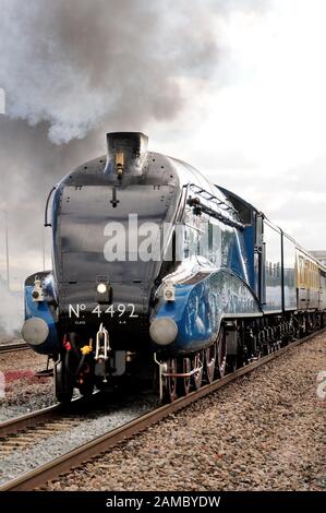 Main Line Dampfzug über Chippenham, geschleppt von Klasse A4 Pacific Nr. 60019 Rohrdommel, Betrieb als Nr. 4492. (Siehe Hinweis). Stockfoto