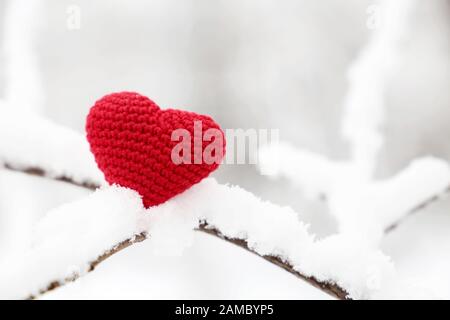 Valentinskurz im Winterwald. Rotes Stricksymbol für romantische Liebe im Schnee auf Baumzweig, Konzept Valentinstag Stockfoto