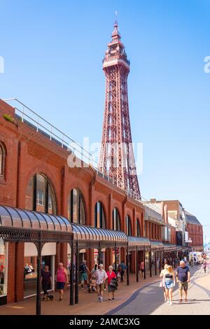 Der Blackpool Tower von Victoria Street, Blackpool, Lancashire, England, Großbritannien Stockfoto