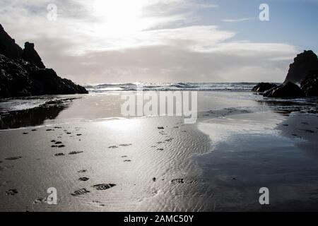 Fußabdrücke am Strand in Richtung Meer in Kynance Cove, Cornwall Stockfoto