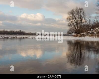 Die Flussmünde von Srosider zur Weichsel während der Wintersaison. Jozefow. Otwock, Świder. Natura 2000. Polen Stockfoto