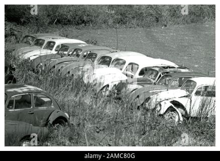 Leitung der verschrotteten Bug Käfer in einem Feld, die für die Restaurierung, Schrott oder Teile gespeichert werden. Schwarze und weiße historisches Bild. Großbritannien Stockfoto