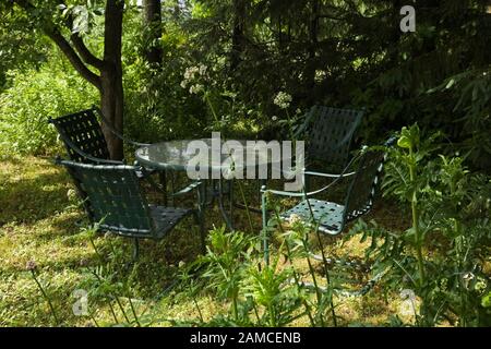 Runder Glastisch mit vier grün lackierten Metallgitterstühlen im Schatten unter einem Laubenbaum im privaten Hinterhofgarten im Sommer. Stockfoto