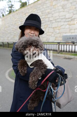 Eine Japanerin mit ihrem Hund. Stockfoto