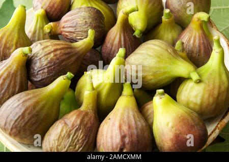 Eine Schale mit frisch gepflückte Feigen. Die köstliche Frucht der gemeinsamen Bild "Ficus Cardiac". Stockfoto