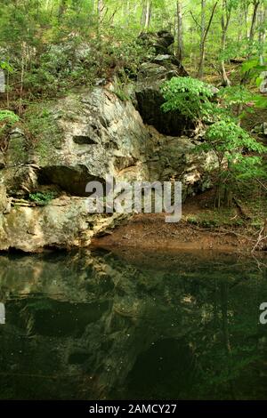 Otter Creek und umliegender Wald entlang des Blue Ridge Parkway in Virginia, USA Stockfoto