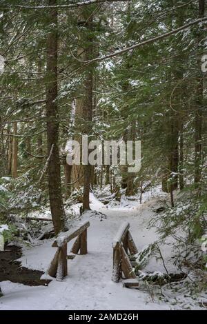Snow Covered Bridge auf Trail Of The Shadows in Oregon Mountains Stockfoto