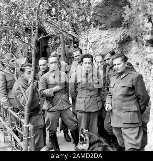 Marschall Tito steht am 14. Mai 1944 mit seinen Kabinettsministern und dem Obersten Stab in seinem Berghauptquartier in Jugoslawien. Von links nach rechts in der ersten Reihe sind Dr. Vladimir Ribnikar (Minister für Information), Oberst Filipovich, Kdvard Kardelt und Marschall Tito. Von links nach rechts in der hinteren Reihe befinden sich Die Hauptgeneralsekretär Arca Yovanovich (Stabschef), Radonja (Titos Sekretär), Cholakovich (Sekretär des nationalen antifaschistischen Rates), Kocbek (Bildungsminister) und der Oberleutnant Sreten Zujevich. Im Vordergrund ist auch Titos Hund Tiger zu sehen. Mai 1944 Stockfoto